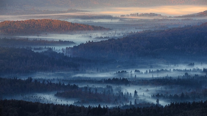 Germany, landscape, nature, mist, blue, forest, sunlight, hills