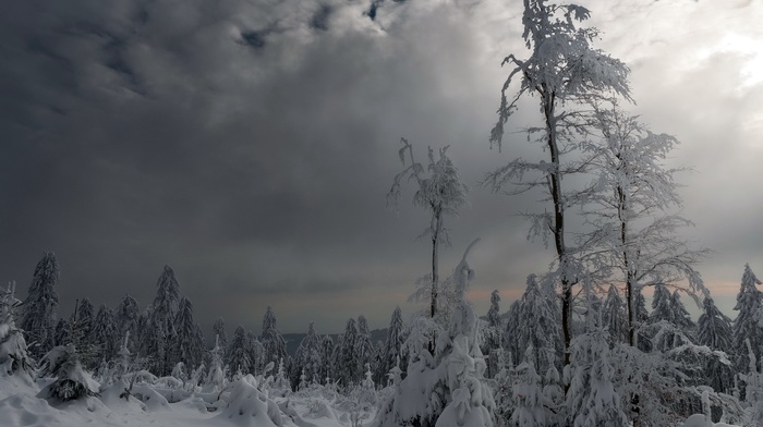 nature, snow, landscape, winter