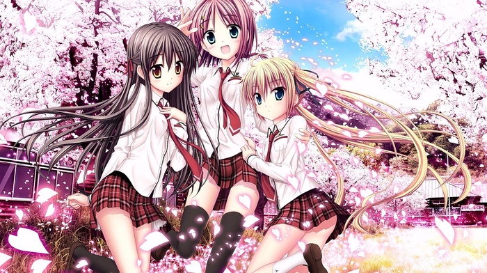 anime girls, Minato Miu, Sakura Sakimashita, anime, cherry blossom, Karasuma Miyako, school uniform, Haruno Tsubame