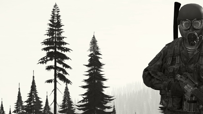 soldier, DayZ, military, forest, middle finger