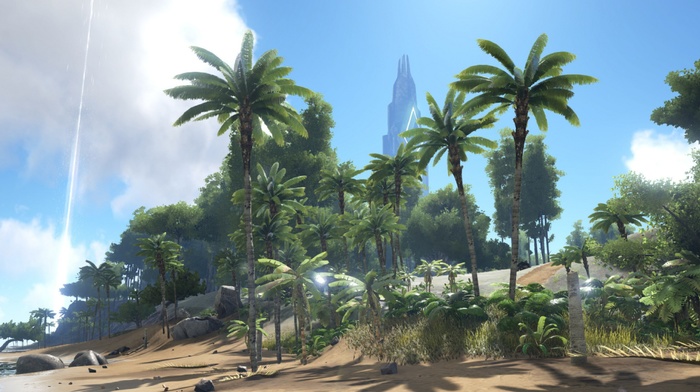 video games, coast, palm trees