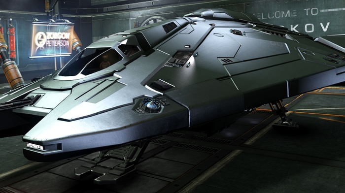 Elite Dangerous, Viper MkIIIspaceship