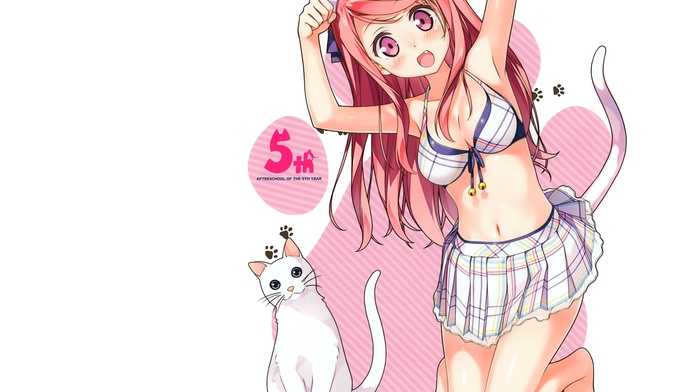 cat, skirt, anime girls, Afterschool of the 5th year, bikini, Kantoku, original characters, tail, animal ears