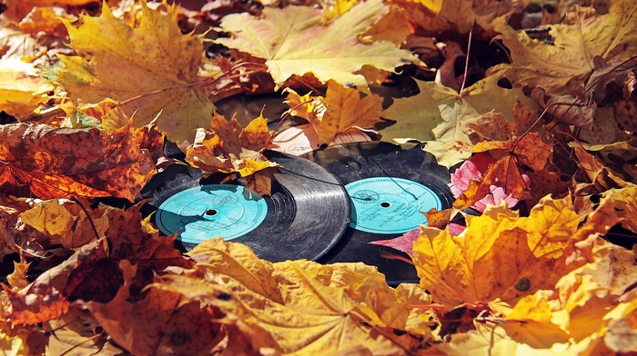 vinyl, fall, leaves