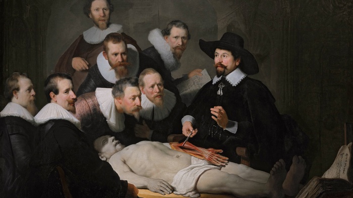 Rembrandt van Rijn, oil painting, anatomy