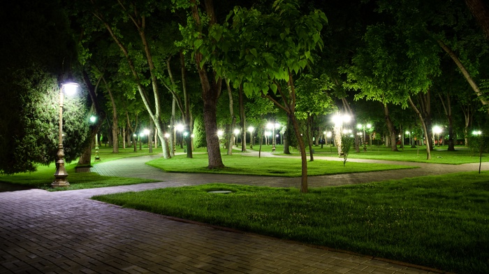 park, night, nature, Uzbekistan, long exposure