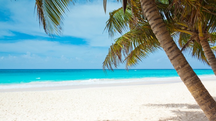 sea, Caribbean, palm trees, coast, sky, blue, landscape, watering, beach