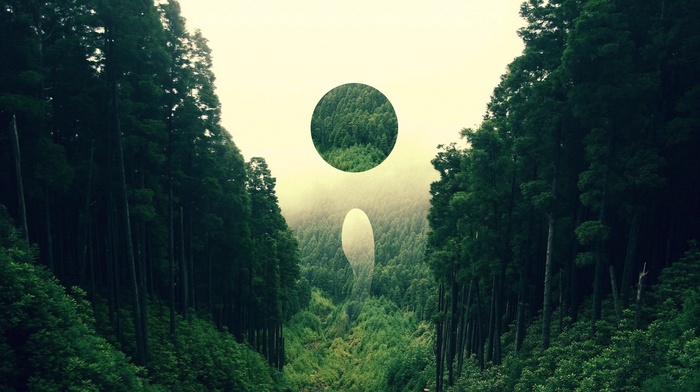 circle, forest, nature, digital art, abstract, landscape