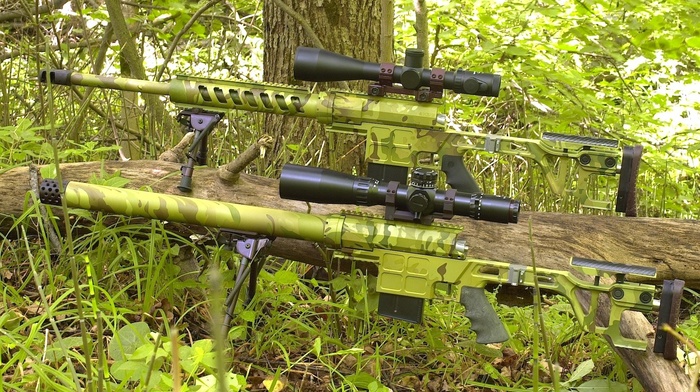 sniper rifle, LobaevArms, Compact Scope