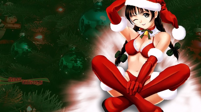 anime, anime girls, thigh, highs, Christmas
