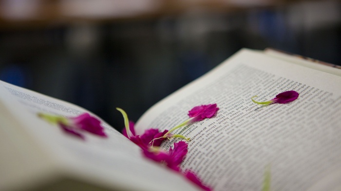 petals, books, depth of field, pages