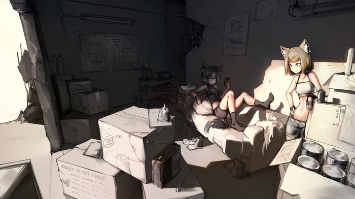 nekomimi, anime, room, anime girls, couch, boxes, original characters
