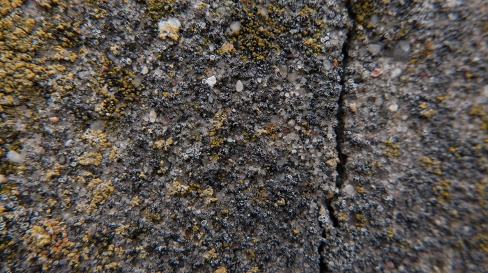 moss, concrete, split, texture