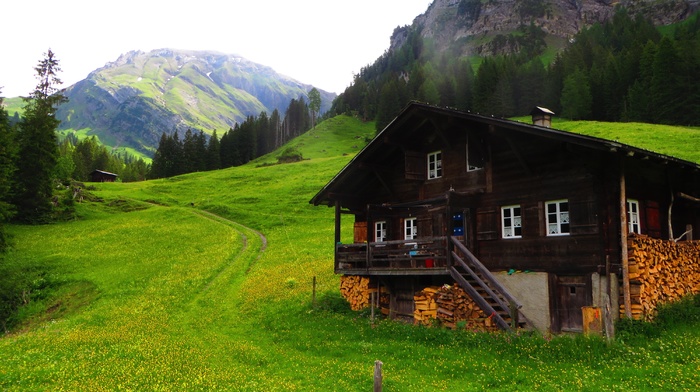 Bernese Alps, mountains, Alps, Lenk, green, chalet, grass, pine trees, Swiss Alps, Switzerland