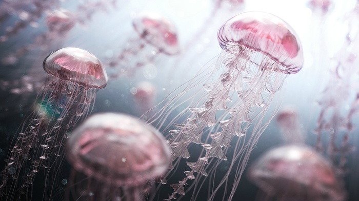 digital art, jellyfish