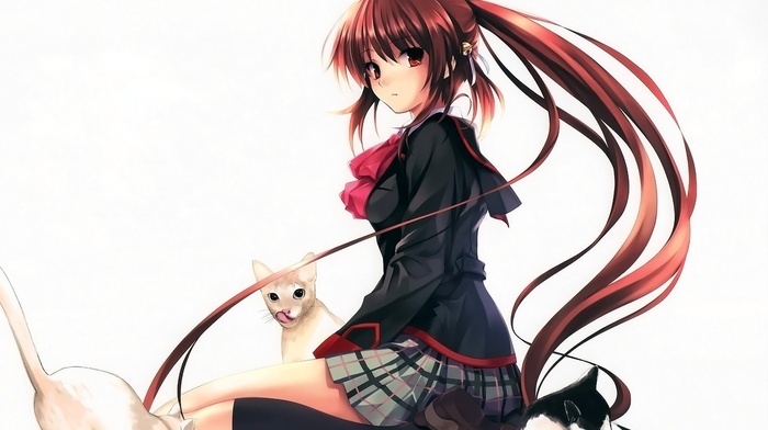 anime girls, red eyes, Natsume Rin, bell, skirt, cat, sitting, anime, brunette, Little Busters, brown eyes, school uniform, looking at viewer, redhead, long hair, white background