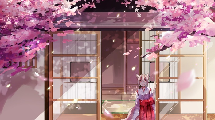 original characters, animal ears, miko, cherry blossom, anime girls