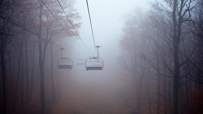 fall, mist, trees, ropes