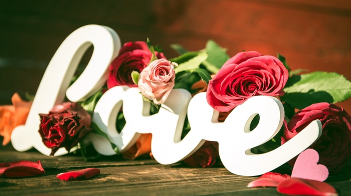 typography, love, rose