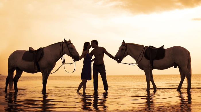 horse, couple, kissing, sunset, love, sea, water