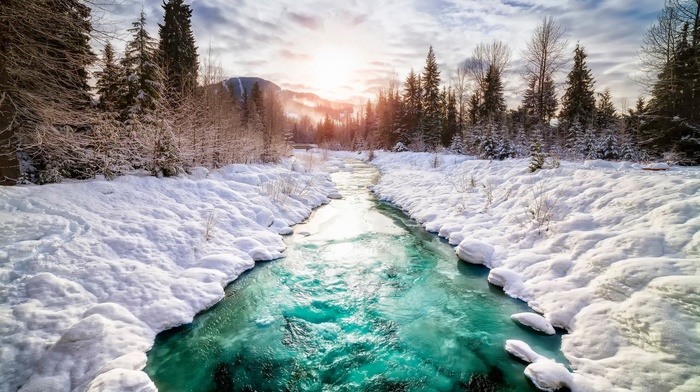 Canada, river, landscape, pine trees, nature, winter, snow