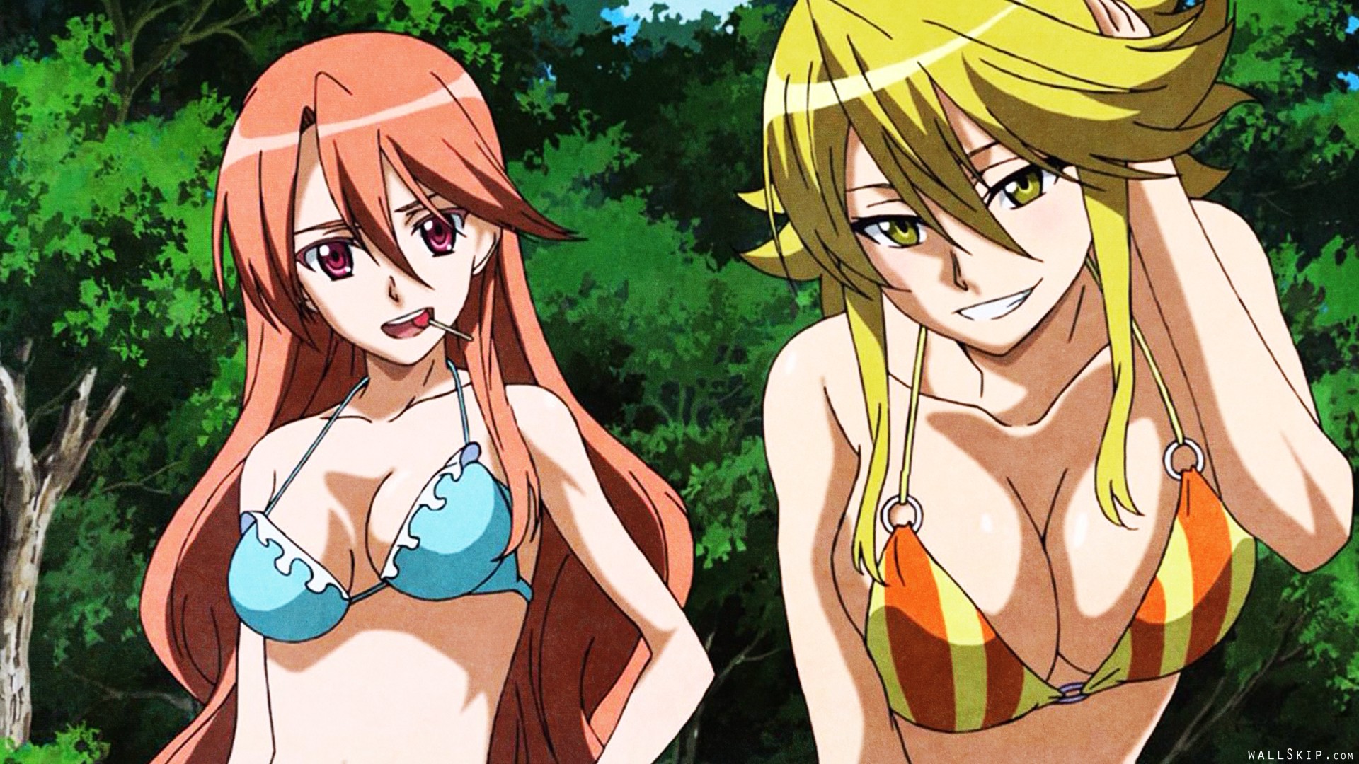 Anime, Akame (Akame Ga Kill!), Mine (Akame Ga Kill!), Leone (Akame Ga Kill!),  HD wallpaper