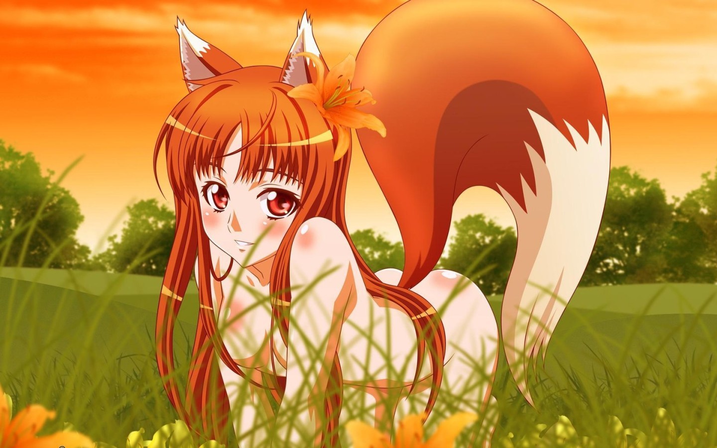 Wolf Girl Naked Toon Girls - nude, anime girls, anime, wolf girls, Holo, Spice and Wolf - wallpaper  #159527 (1440x900px) on Wallls.com