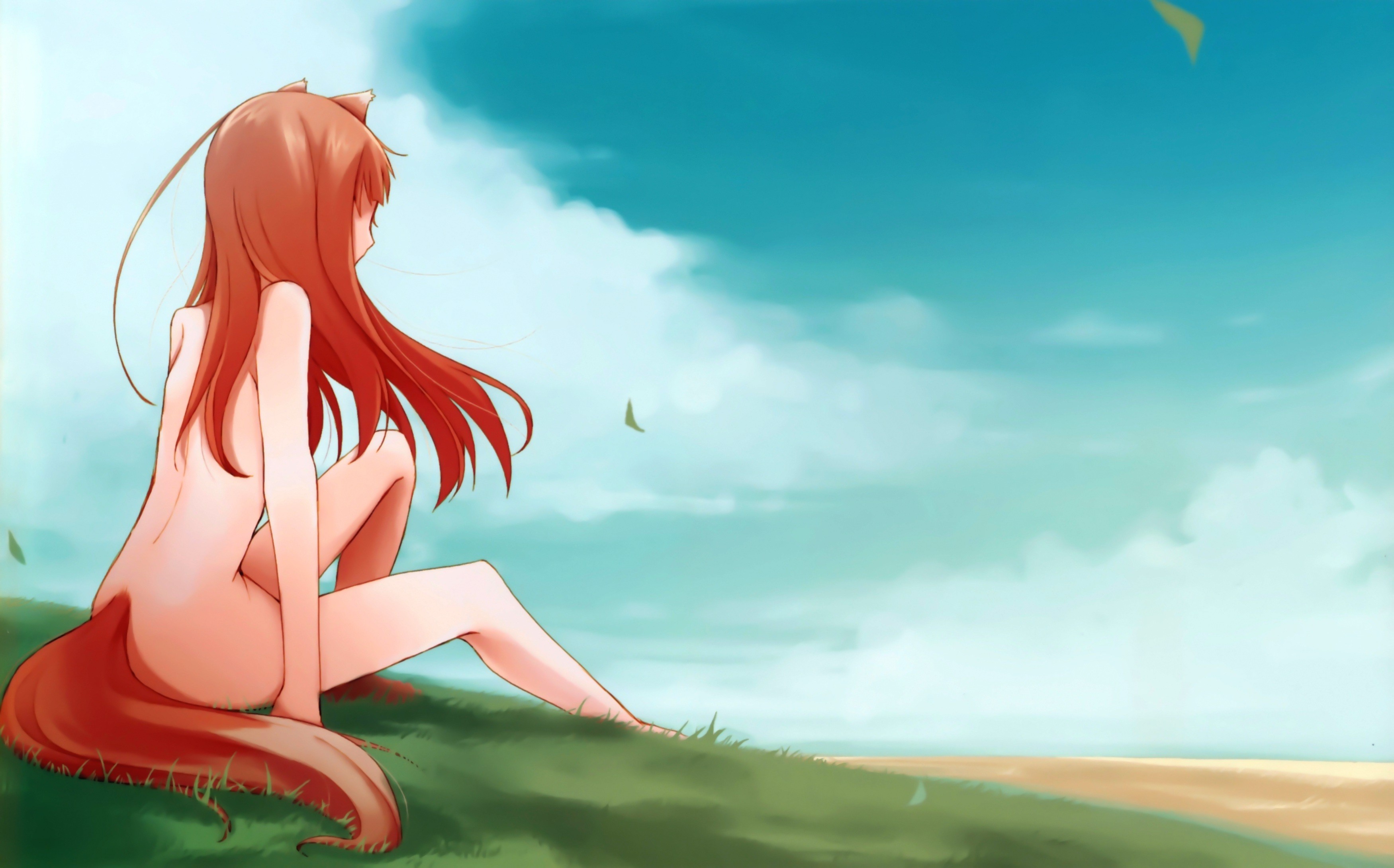 Wolf Girl Naked Toon Girls - Spice and Wolf, Holo, nude, anime, anime girls, kitsunemimi - wallpaper  #187284 (3500x2180px) on Wallls.com