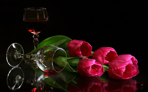tulips, wine, flowers