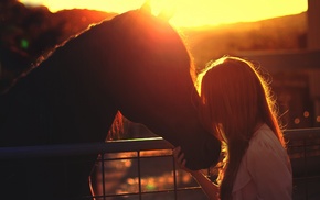 girl outdoors, girl, Golden Hour, silhouette, horse, fence