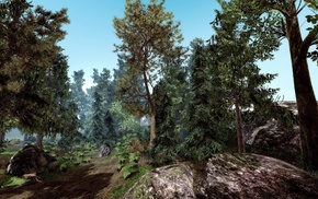 3D, forest, rock, stones, trees