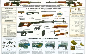 gun