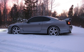 car, forest, cars