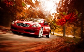 red, autumn, cars