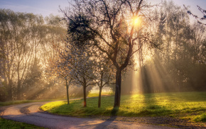 road, spring, nature, Sun, rays