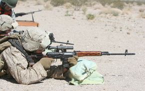 gun
