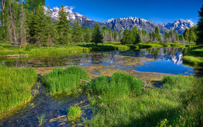 grass, mountain, river, nature, trees