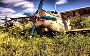 aircraft, wings, airplane