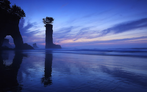 trees, nature, rocks, Japan, coast