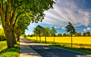 nature, field, trees, sky, road