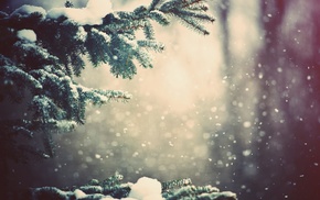 snow, nature, trees, winter, forest