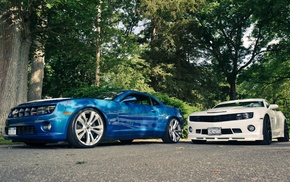 white, cars, blue