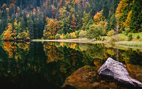 lake, forest, autumn, stone