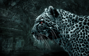 animals