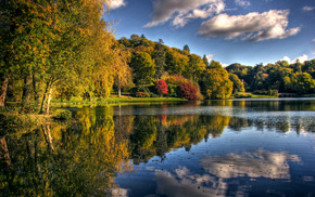 autumn, park, nature, lake