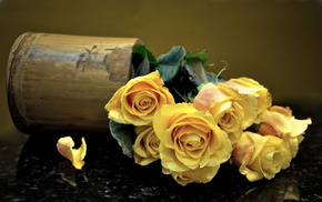 bouquet, roses, vase, flowers, petals