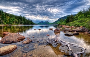 forest, lake, nature