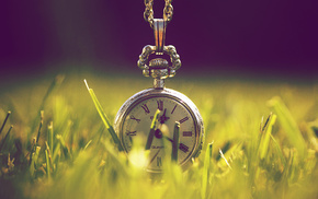 clocks, greenery, grass, nature, light