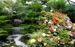 nature, flowers, waterfall, plants