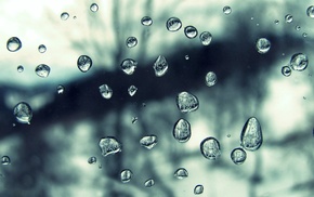 texture, macro, rain, water, drops